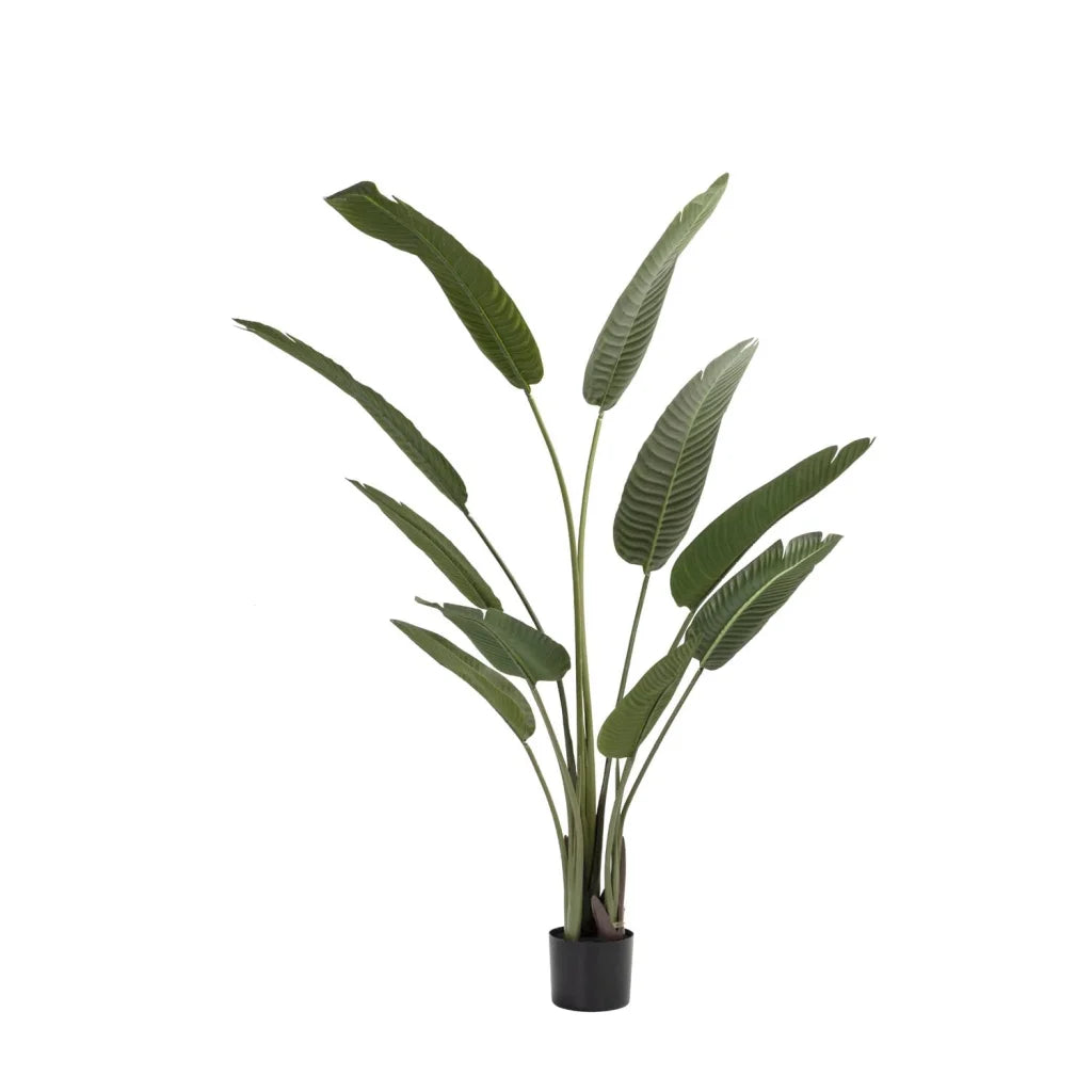 Artificial Plants