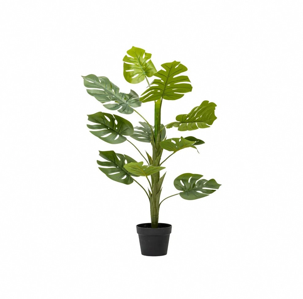 Artificial Plants