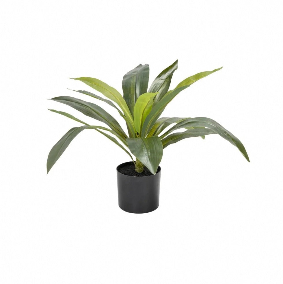 Artificial Plants