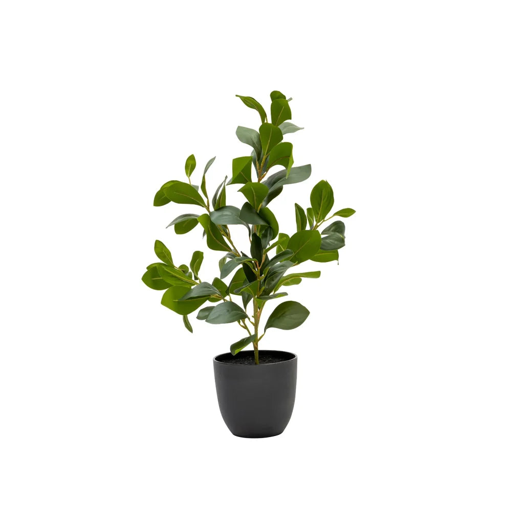 Artificial Plants